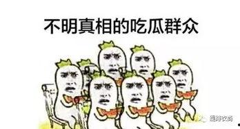 淘宝吃瓜群众,揭秘网购江湖的幕后故事