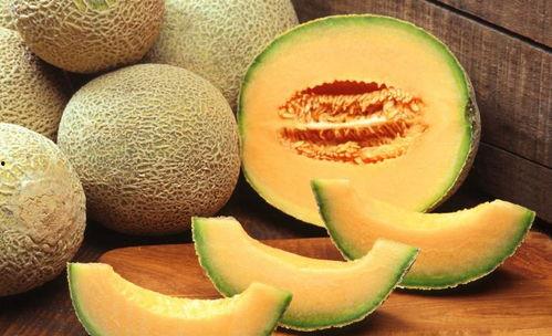 史上最喜欢吃的哈密瓜,探寻哈密瓜的甜蜜传奇