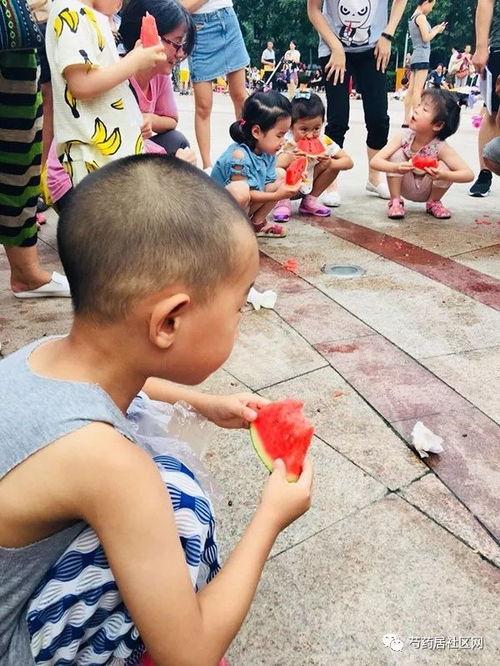 吃瓜趣味图片高清,高清趣味图片带你领略吃瓜乐趣