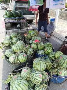 长春师范吃瓜事件,校园风波背后的真相与反思