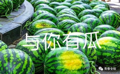 绥德二康吃瓜,揭秘背后真相与网络舆论风暴