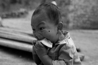 吃瓜儿子高考,一场关于成长与梦想的青春盛宴