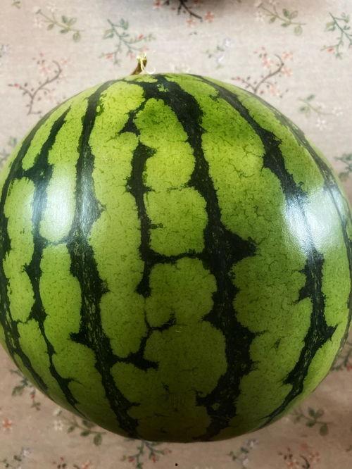 女生表演时吃瓜