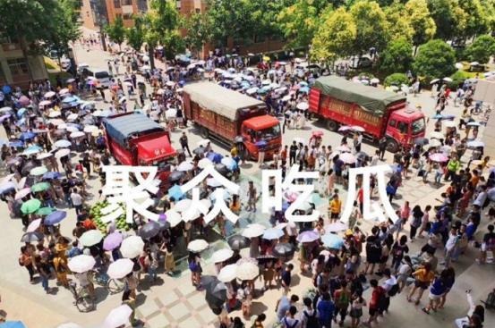 吃瓜视频学校,吃瓜视频学校背后的故事