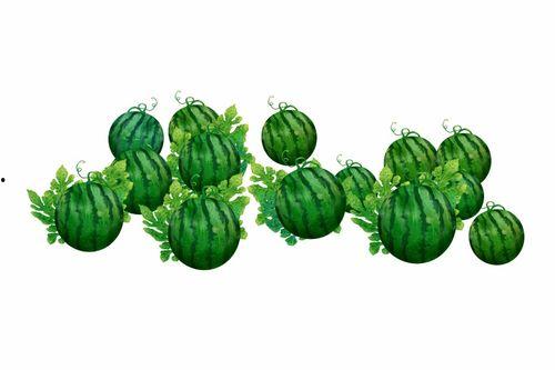 阿宸的吃瓜,揭秘娱乐圈幕后故事