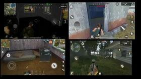 快乐吃瓜特效视频,快乐吃瓜特效视频带你领略欢乐盛宴