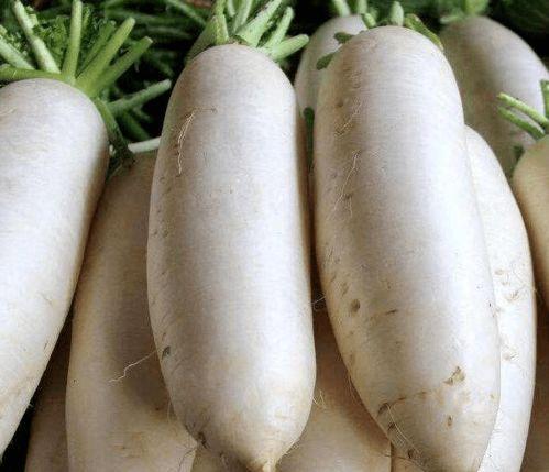 吃大白瓜的视频,揭秘大白瓜的美味之旅