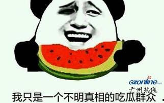 真的有吃瓜群吗,真的有吃瓜群吗？