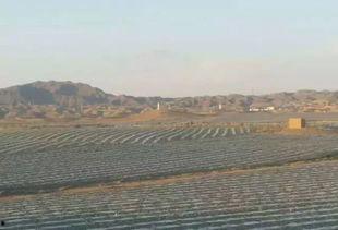 苏州吃瓜墙,街头巷尾的市井百态