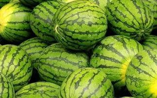 西瓜吃大瓜,揭秘夏日消暑新潮流