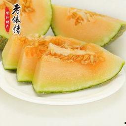 吃瓜群众冰激凌哈密瓜