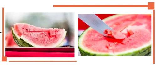 沙河公园 吃瓜,夏日吃瓜盛宴，畅享清凉时光