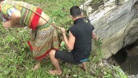 梦见到地里摘瓜吃瓜