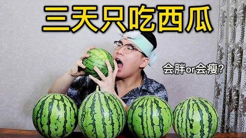 减肥晚上可以吃只吃瓜吗,瓜果轻食，健康瘦身新选择