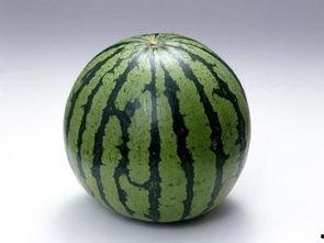 吃什瓜会胖,吃瓜也能增肥？揭秘瓜类食物的胖瘦之谜