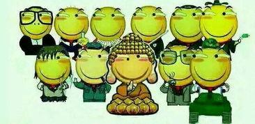 瓜哥吃瓜奇葩动画视频大全,揭秘奇葩动画视频大全背后的趣味世界