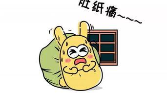领导吃瓜群众
