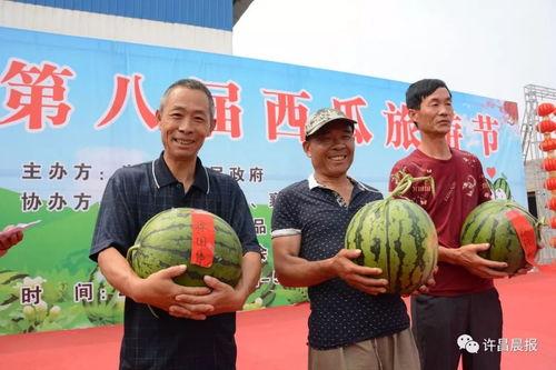 许昌今日吃瓜事件,网络热议背后的真相揭秘