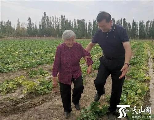 老太吃瓜,揭秘老年生活的新潮流