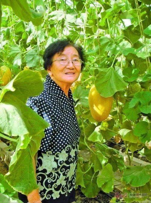 石莉吃瓜,揭秘娱乐圈幕后故事